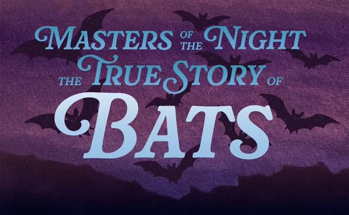Masters of the Night Exhibit