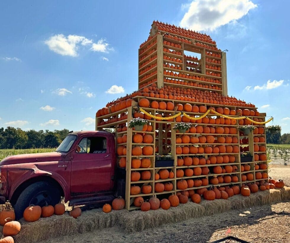 Fall Festival
