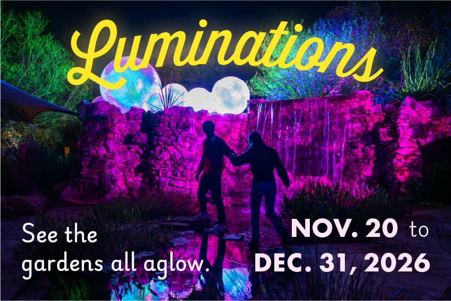 Luminations