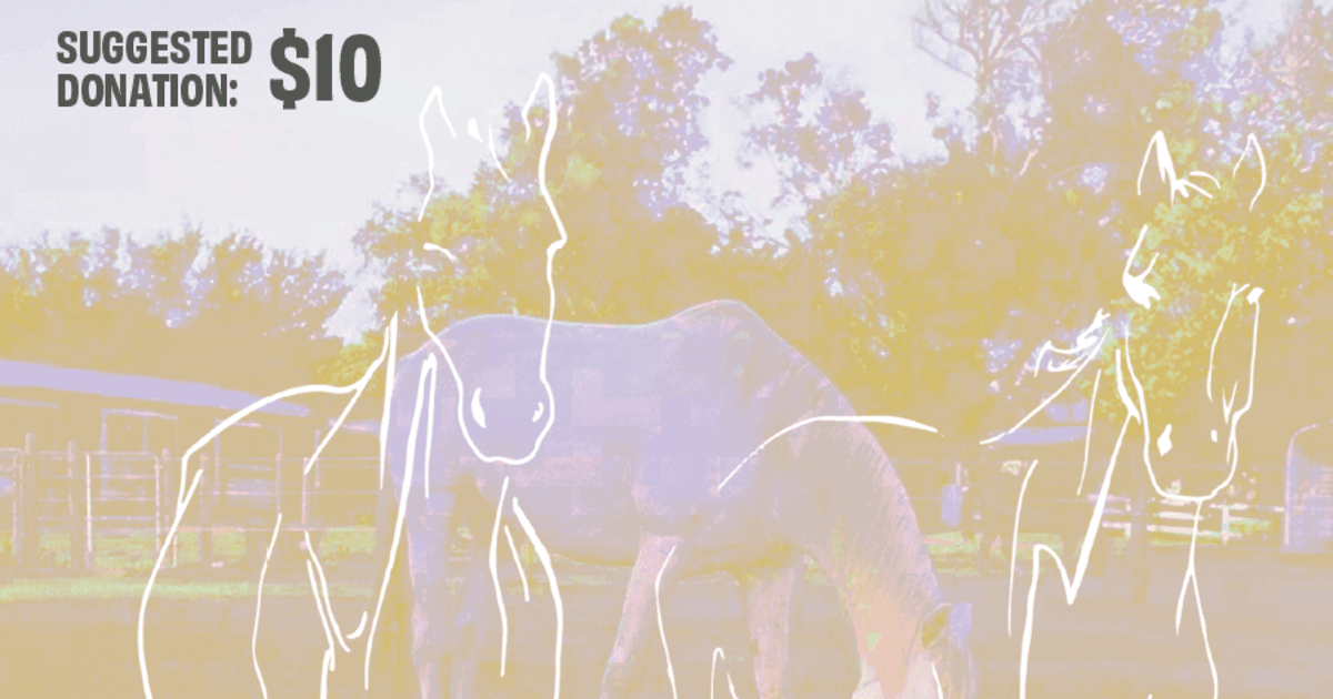 Equine Life Drawing