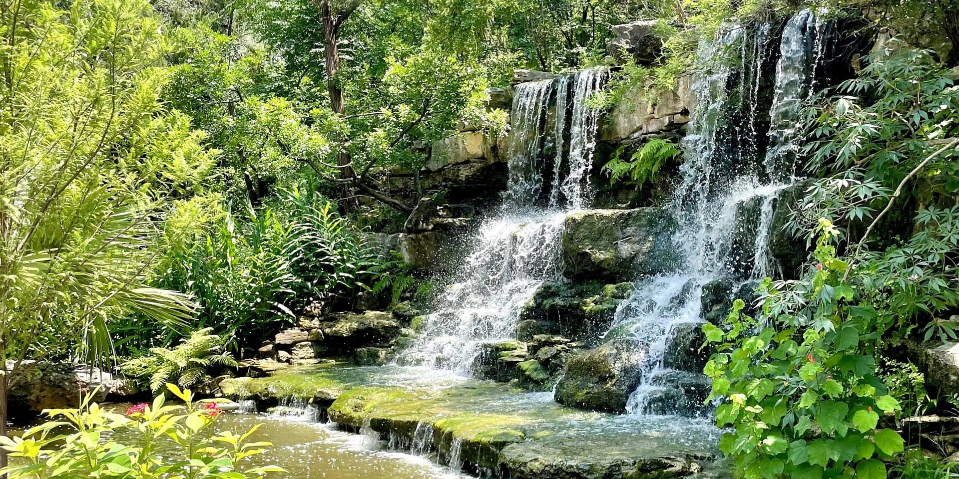 Free Day at Zilker Botanical Garden