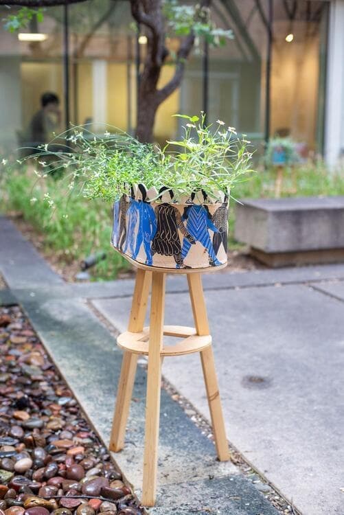 Wildflower Planting Workshop with artist Pallavi Sen