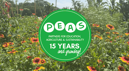 PEAS 15th Anniversary Community Market