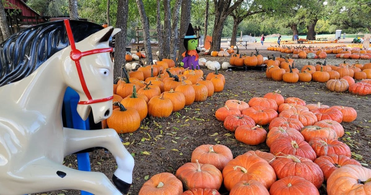 Round Rock Pumpkin Festival