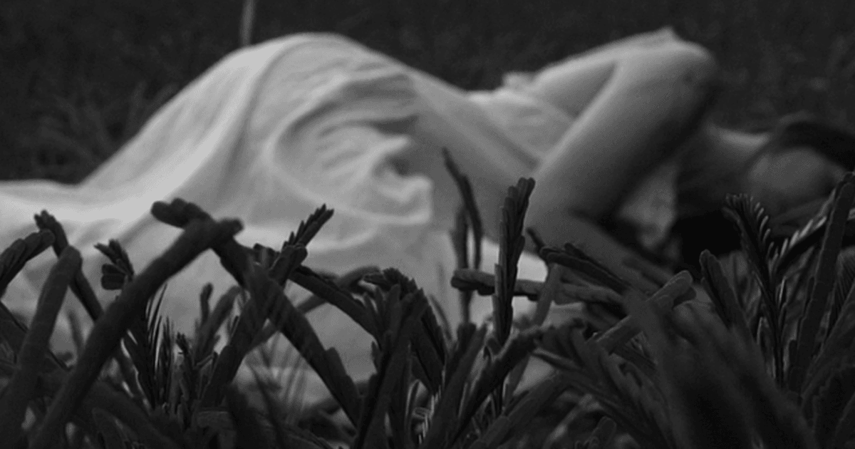 Dear Life by Mad Whit