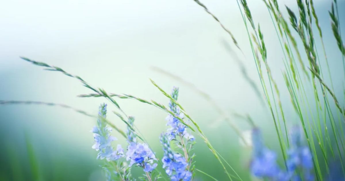 Creating Serenity: Practical Ways to Cultivate Grace
