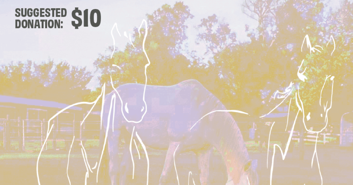 Equine Life Drawing