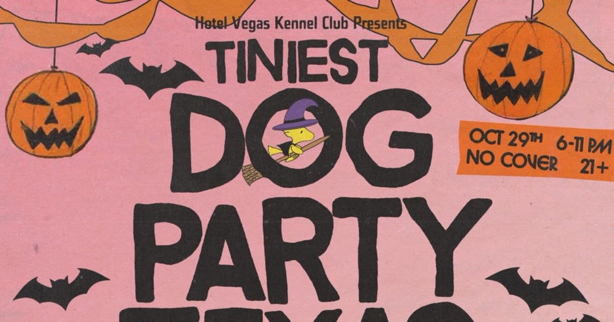 Tiniest Dog Party in Texas Halloween Party at Hotel Vegas