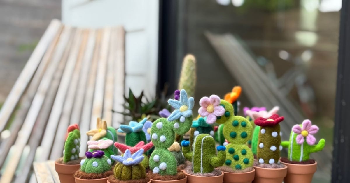 Intro to Needle Felting: Mini Potted Plants Workshop