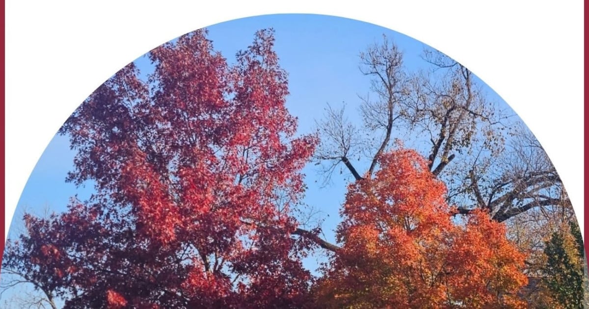 Hyde Park Fall Market