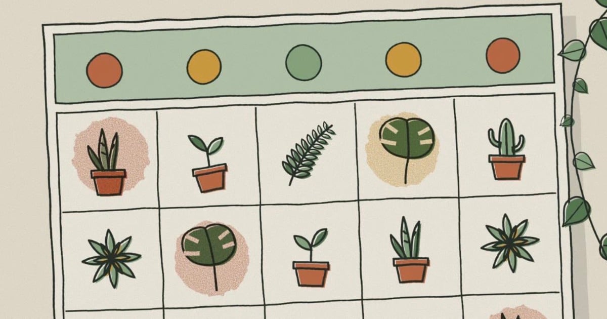 Plant Bingo