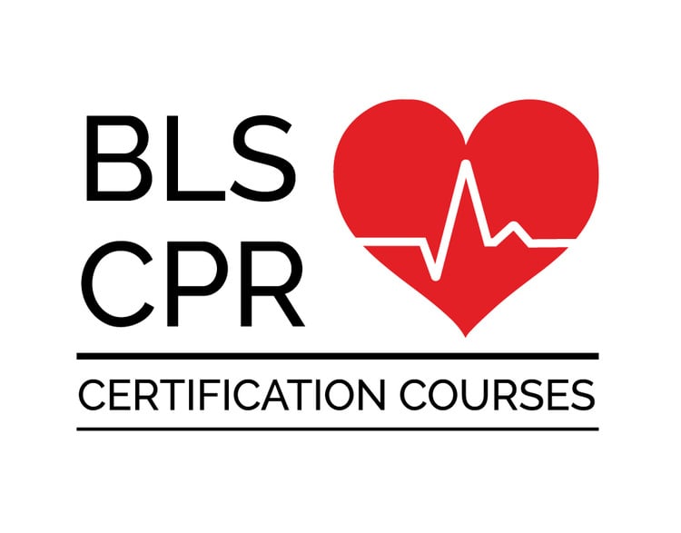 AHA BLS Provider and Heartsaver First Aid (Dual Certificates)