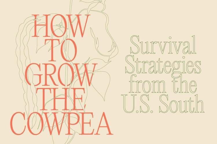 How to Grow the Cowpea: Survival Strategies from the U.S. South